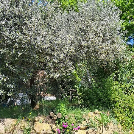 Paradise Agricamp Camping Roccastrada