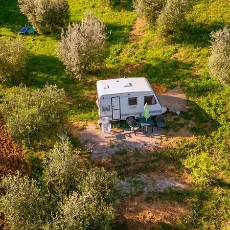 Paradise Agricamp Camping Roccastrada