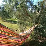 Paradise Agricamp *