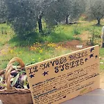 Paradise Agricamp
