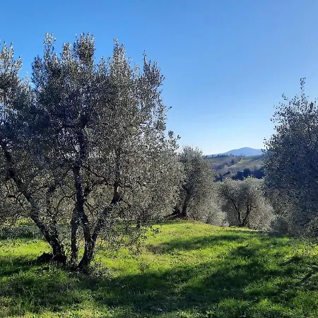 Paradise Agricamp * Roccastrada