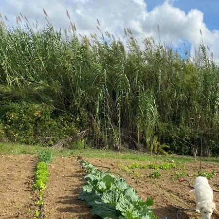 Paradise Agricamp Roccastrada