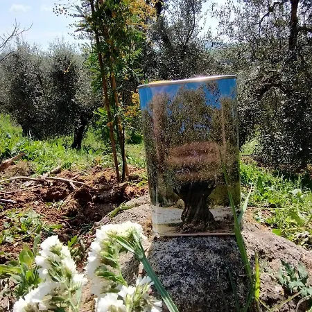 Paradise Agricamp * Roccastrada