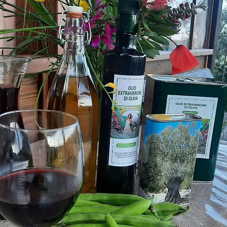 Paradise Agricamp Roccastrada