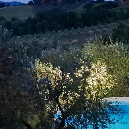 Paradise Agricamp * Roccastrada