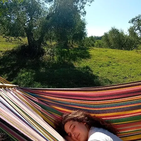 Paradise Agricamp *