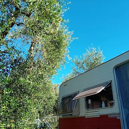 Paradise Agricamp Roccastrada