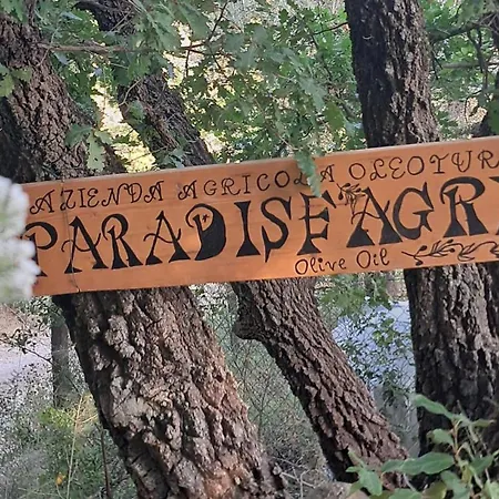 Paradise Agricamp אתר קמפינג