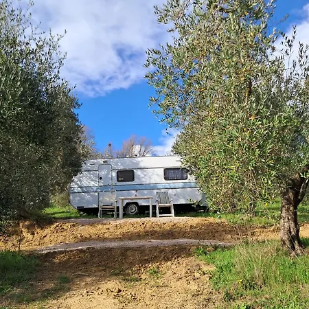 Paradise Agricamp