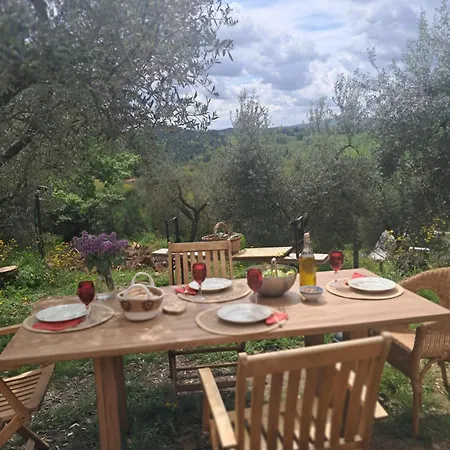 אתר קמפינג Paradise Agricamp *