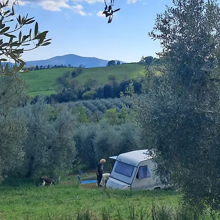 אתר קמפינג Paradise Agricamp רוקסטראדה
