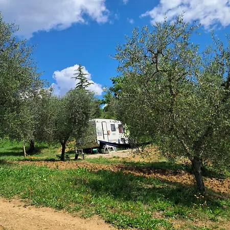 Paradise Agricamp Roccastrada
