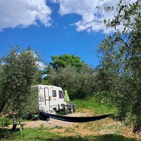Paradise Agricamp * Roccastrada