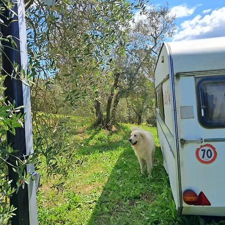 Paradise Agricamp Campingplatz