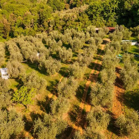 Paradise Agricamp *